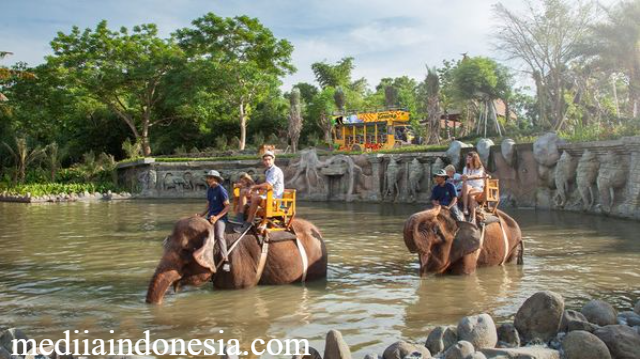 Temukan Serunya Wisata Keluarga di Bali Zoo